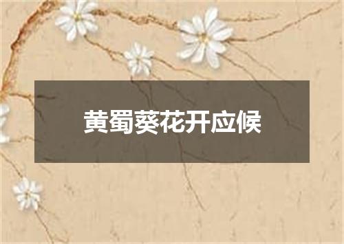 黄蜀葵花开应候
