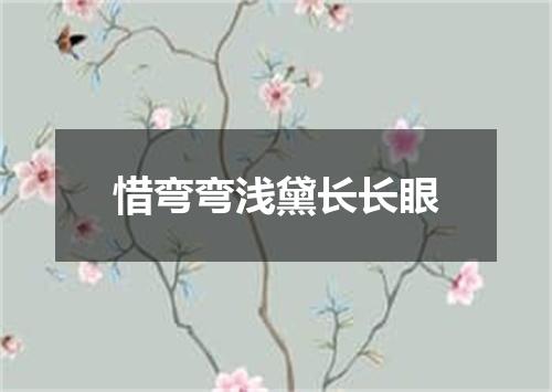 惜弯弯浅黛长长眼