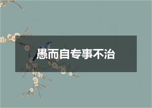 愚而自专事不治