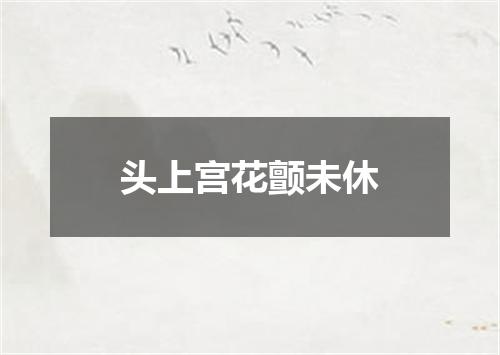头上宫花颤未休