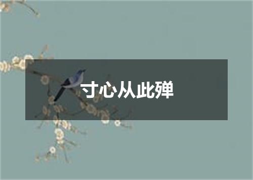 寸心从此殚