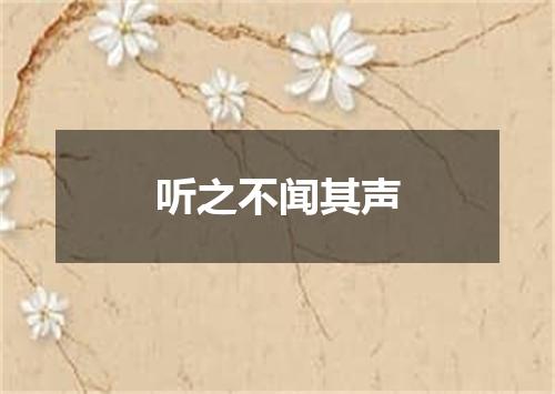 听之不闻其声