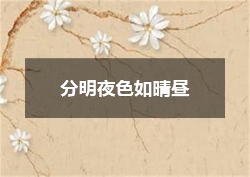 分明夜色如晴昼