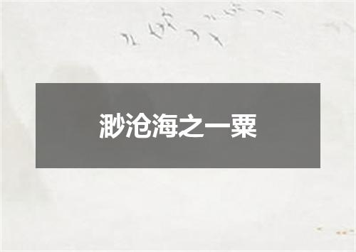 渺沧海之一粟