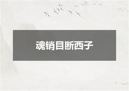 魂销目断西子