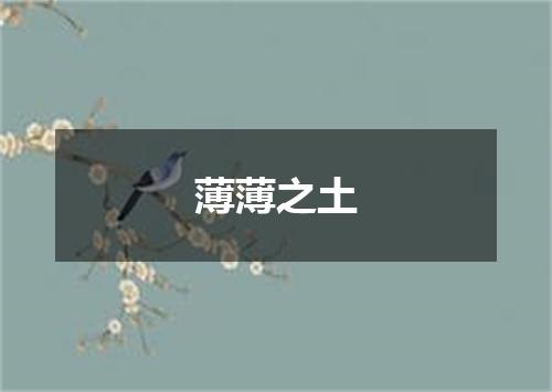 薄薄之土