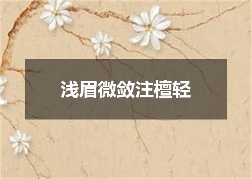 浅眉微敛注檀轻