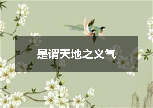 是谓天地之义气