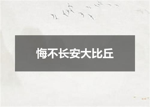 悔不长安大比丘