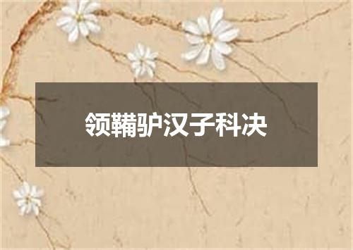 领鞴驴汉子科决