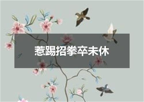 惹踢招拳卒未休