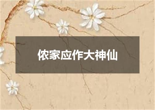 侬家应作大神仙