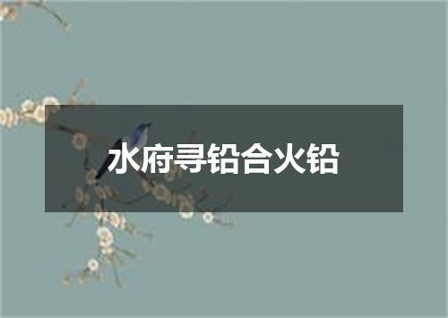 水府寻铅合火铅