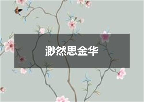 渺然思金华