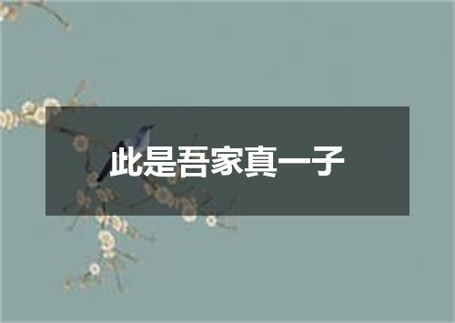 此是吾家真一子