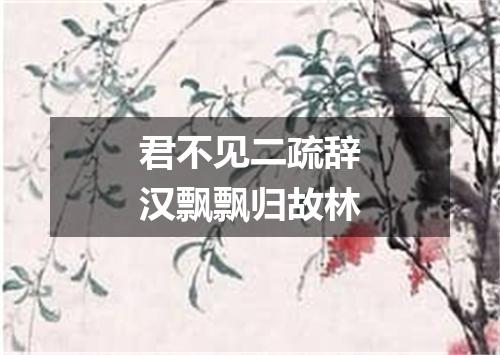 君不见二疏辞汉飘飘归故林