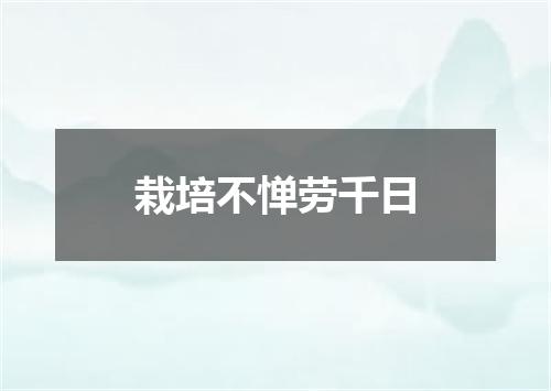 栽培不惮劳千日