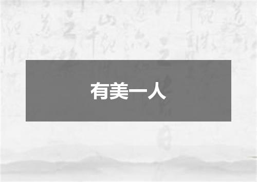 有美一人