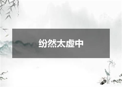 纷然太虚中