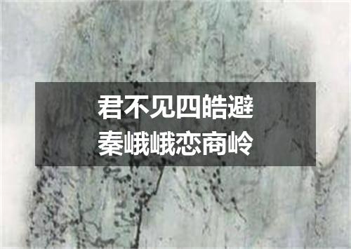 君不见四皓避秦峨峨恋商岭