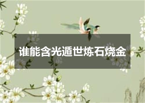 谁能含光遁世炼石烧金