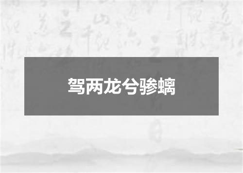 驾两龙兮骖螭