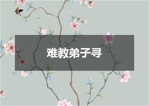 难教弟子寻