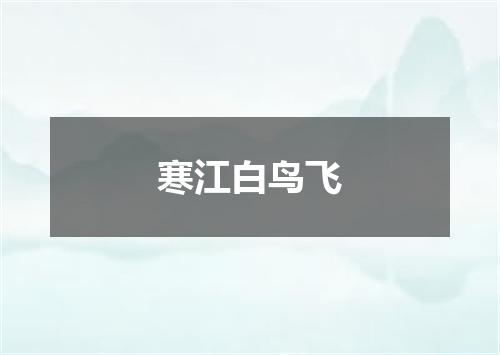寒江白鸟飞