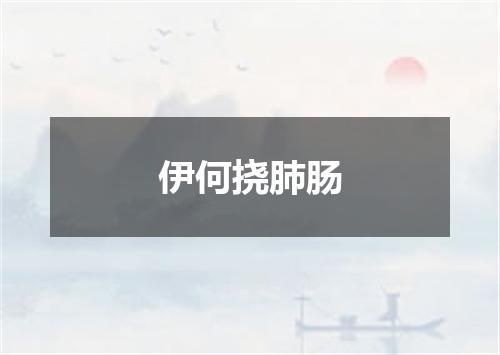伊何挠肺肠