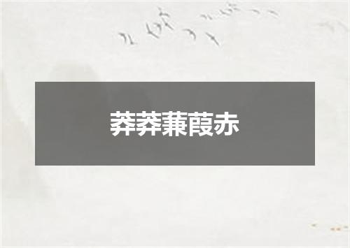 莽莽蒹葭赤