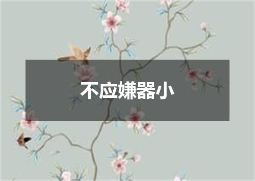 不应嫌器小
