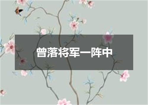 曾落将军一阵中