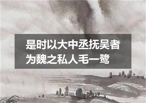 是时以大中丞抚吴者为魏之私人毛一鹭