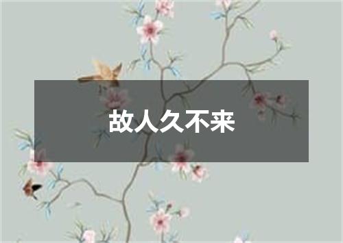 故人久不来