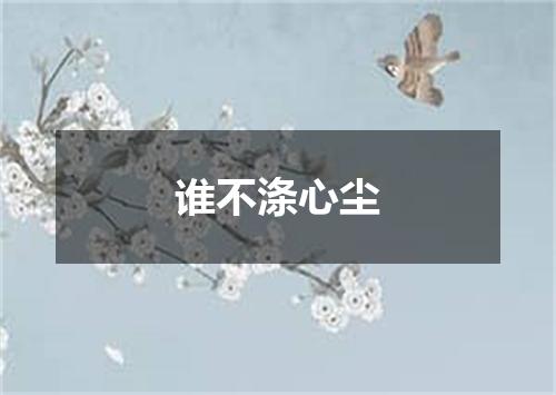谁不涤心尘