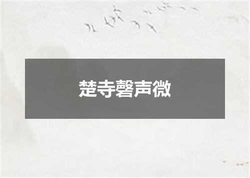 楚寺磬声微