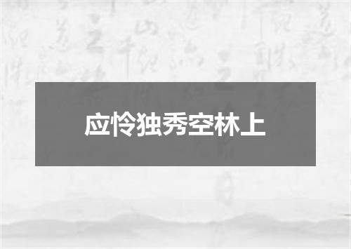 应怜独秀空林上