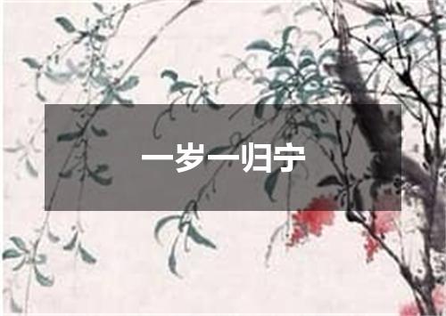 一岁一归宁