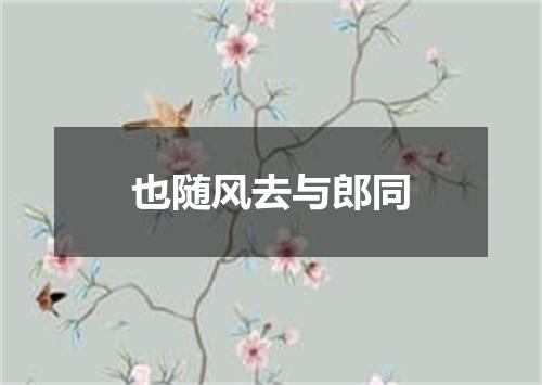 也随风去与郎同