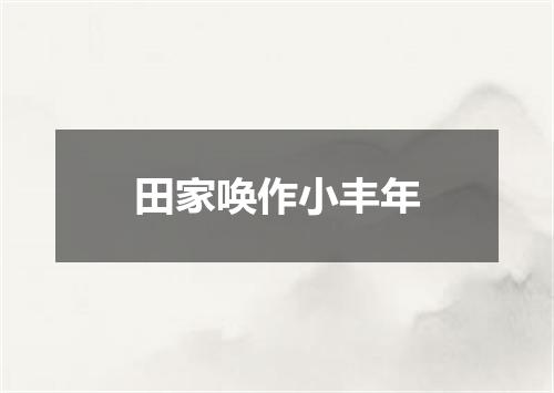 田家唤作小丰年