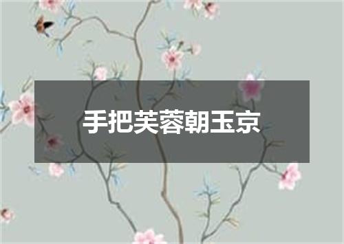 手把芙蓉朝玉京