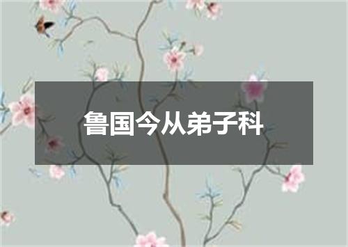 鲁国今从弟子科