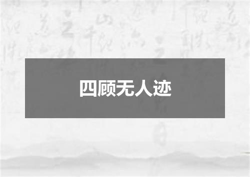 四顾无人迹