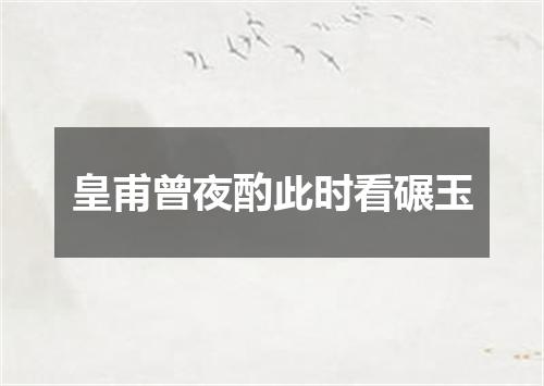 皇甫曾夜酌此时看碾玉