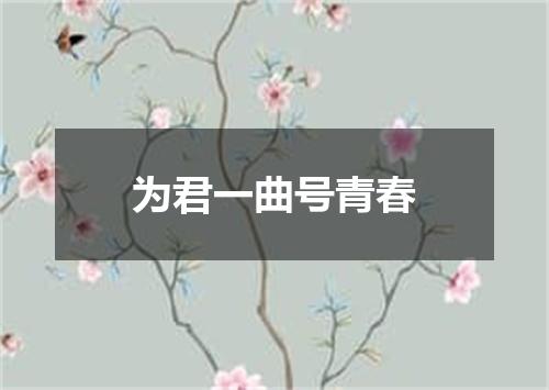 为君一曲号青春
