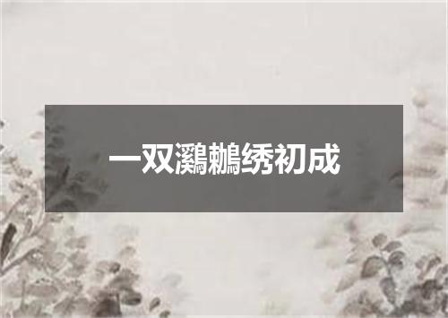 一双鸂鶒绣初成