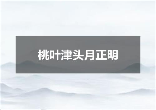 桃叶津头月正明