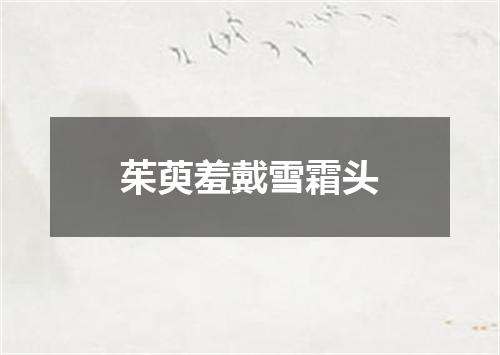 茱萸羞戴雪霜头