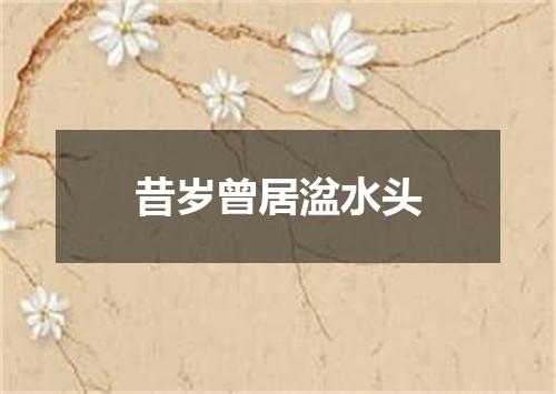 昔岁曾居湓水头