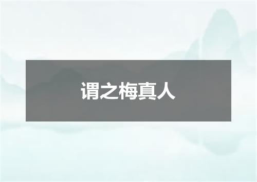 谓之梅真人